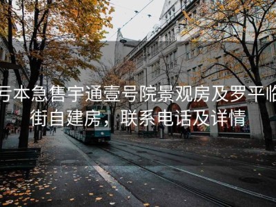 亏本急售宇通壹号院景观房及罗平临街自建房，联系电话及详情