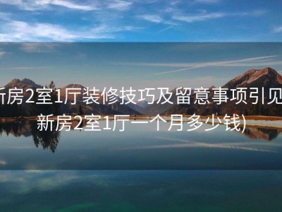 新房2室1厅装修技巧及留意事项引见 (新房2室1厅一个月多少钱)