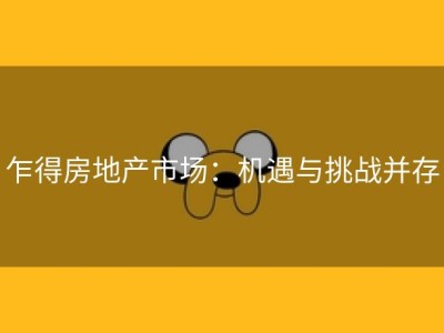 乍得房地产市场：机遇与挑战并存