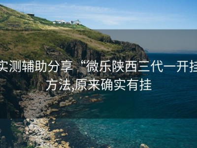 实测辅助分享“微乐陕西三代一开挂方法,原来确实有挂