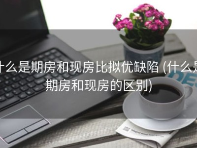 什么是期房和现房比拟优缺陷 (什么是期房和现房的区别)