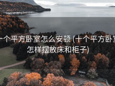 十个平方卧室怎么安顿 (十个平方卧室怎样摆放床和柜子)