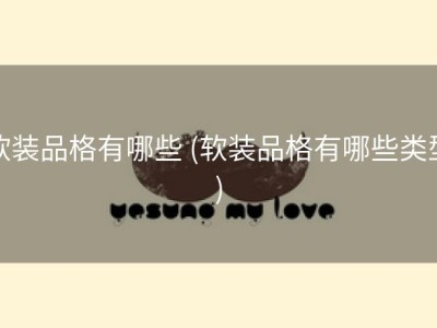 软装品格有哪些 (软装品格有哪些类型)
