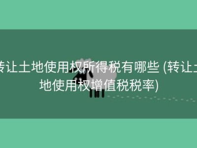转让土地使用权所得税有哪些 (转让土地使用权增值税税率)