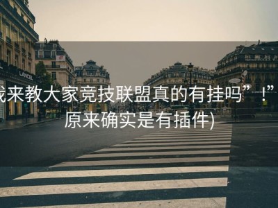 我来教大家竞技联盟真的有挂吗”!”(原来确实是有插件)