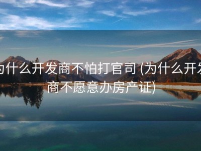 为什么开发商不怕打官司 (为什么开发商不愿意办房产证)