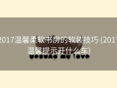 2017温馨柔软书房的软装技巧 (2017温馨提示开什么车)