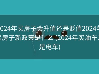 2024年买房子会升值还是贬值2024年买房子新政策是什么 (2024年买油车还是电车)