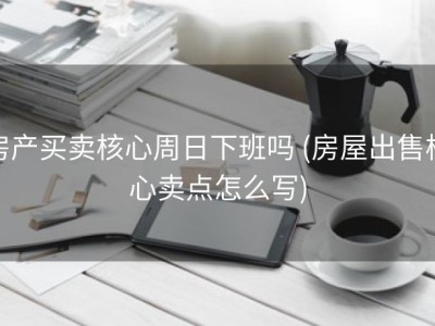 房产买卖核心周日下班吗 (房屋出售核心卖点怎么写)