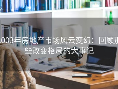 2003年房地产市场风云变幻：回顾那些改变格局的大事记