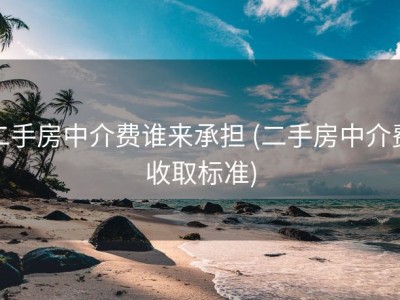 二手房中介费谁来承担 (二手房中介费收取标准)