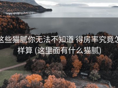 这些猫腻你无法不知道 得房率究竟怎样算 (这里面有什么猫腻)