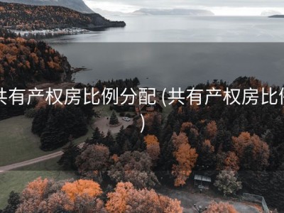 共有产权房比例分配 (共有产权房比例)