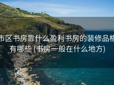 市区书房靠什么盈利书房的装修品格有哪些 (书房一般在什么地方)