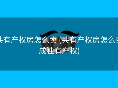 共有产权房怎么卖 (共有产权房怎么变成独有产权)