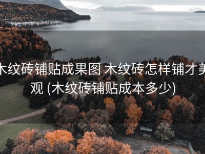 木纹砖铺贴成果图 木纹砖怎样铺才美观 (木纹砖铺贴成本多少)