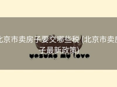 北京市卖房子要交哪些税 (北京市卖房子最新政策)