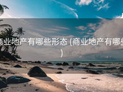 商业地产有哪些形态 (商业地产有哪些)