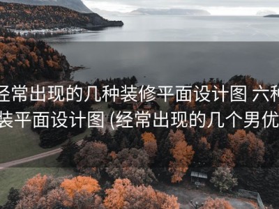 经常出现的几种装修平面设计图 六种装平面设计图 (经常出现的几个男优)