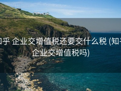 知乎 企业交增值税还要交什么税 (知乎企业交增值税吗)