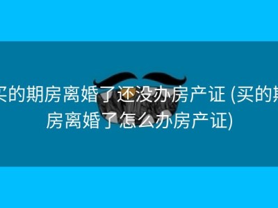 买的期房离婚了还没办房产证 (买的期房离婚了怎么办房产证)