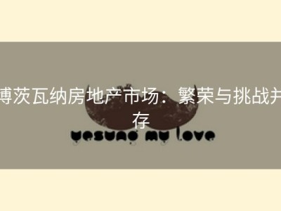 博茨瓦纳房地产市场：繁荣与挑战并存