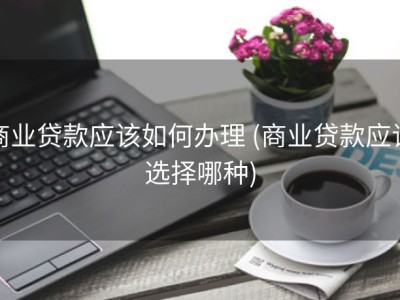 商业贷款应该如何办理 (商业贷款应该选择哪种)