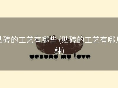 贴砖的工艺有哪些 (贴砖的工艺有哪几种)