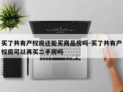买了共有产权房还能买商品房吗-买了共有产权房可以再买二手房吗