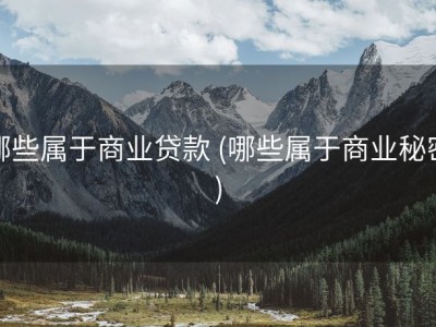 哪些属于商业贷款 (哪些属于商业秘密)