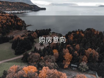 购房意向