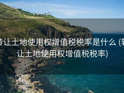 转让土地使用权增值税税率是什么 (转让土地使用权增值税税率)