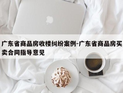 广东省商品房收楼纠纷案例-广东省商品房买卖合同指导意见
