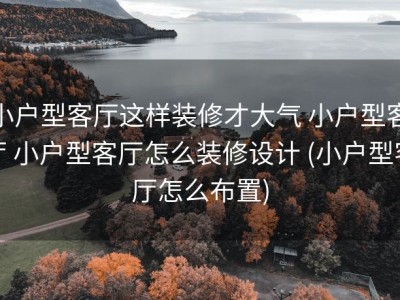 小户型客厅这样装修才大气 小户型客厅 小户型客厅怎么装修设计 (小户型客厅怎么布置)