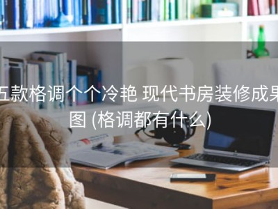 五款格调个个冷艳 现代书房装修成果图 (格调都有什么)