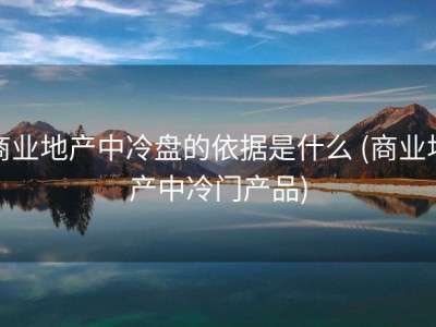 商业地产中冷盘的依据是什么 (商业地产中冷门产品)