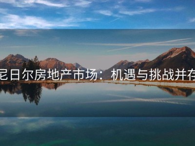 尼日尔房地产市场：机遇与挑战并存