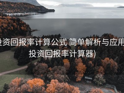 投资回报率计算公式 简单解析与应用 (投资回报率计算器)