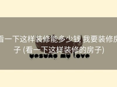 看一下这样装修能多少钱 我要装修房子 (看一下这样装修的房子)
