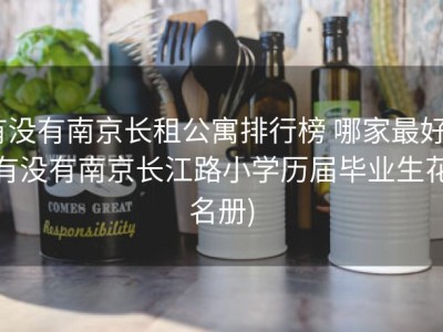 有没有南京长租公寓排行榜 哪家最好 (有没有南京长江路小学历届毕业生花名册)