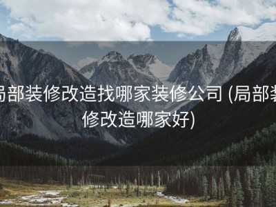 局部装修改造找哪家装修公司 (局部装修改造哪家好)