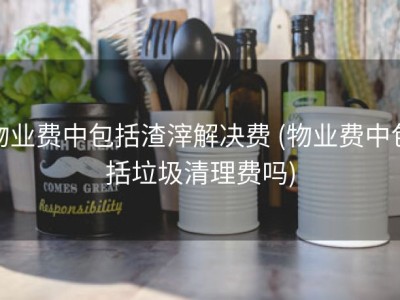 物业费中包括渣滓解决费 (物业费中包括垃圾清理费吗)
