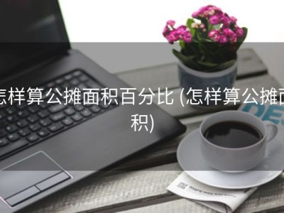 怎样算公摊面积百分比 (怎样算公摊面积)