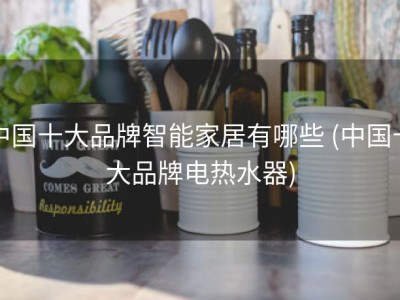 中国十大品牌智能家居有哪些 (中国十大品牌电热水器)