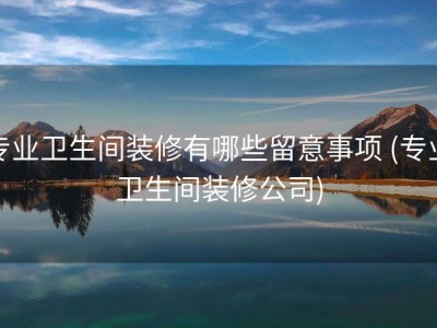 专业卫生间装修有哪些留意事项 (专业卫生间装修公司)