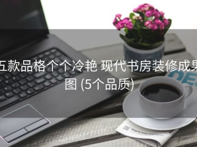 五款品格个个冷艳 现代书房装修成果图 (5个品质)