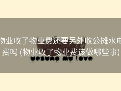 物业收了物业费还要另外收公摊水电费吗 (物业收了物业费该做哪些事)
