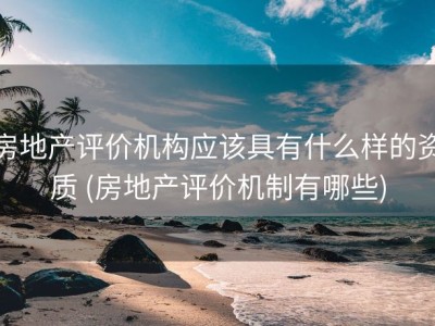 房地产评价机构应该具有什么样的资质 (房地产评价机制有哪些)