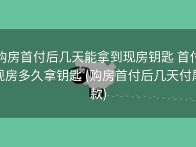 购房首付后几天能拿到现房钥匙 首付现房多久拿钥匙 (购房首付后几天付尾款)