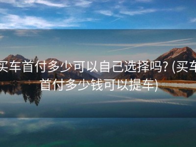 买车首付多少可以自己选择吗? (买车首付多少钱可以提车)